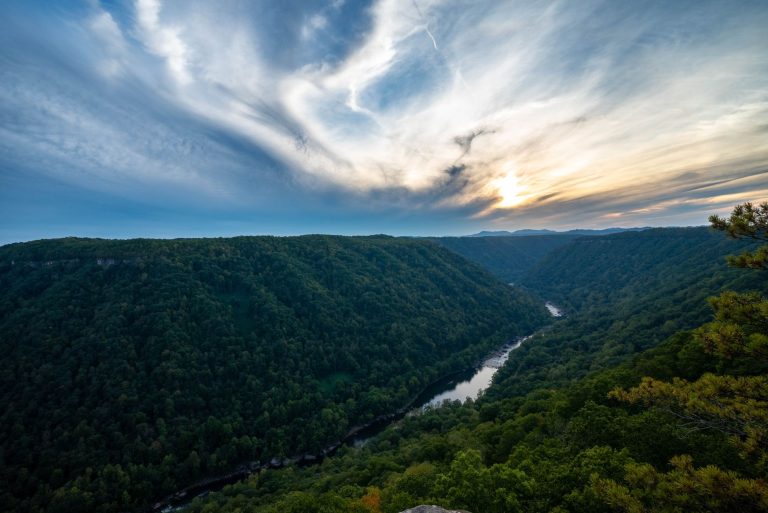 West Virginia Life Insurance Surrender Laws and Rules: 2026 Guide